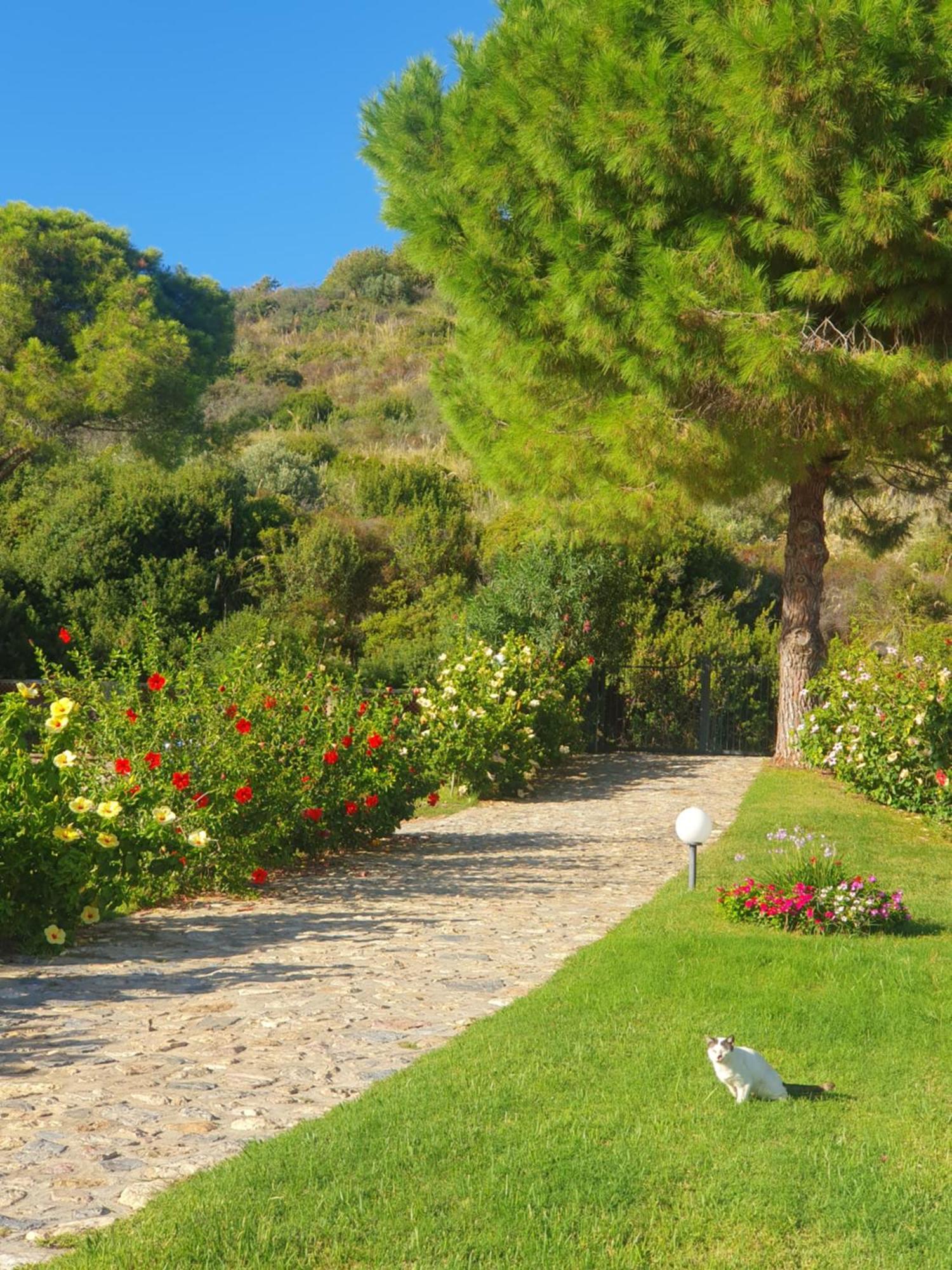 Appartamento Casa Guido Cittadella del Capo Esterno foto